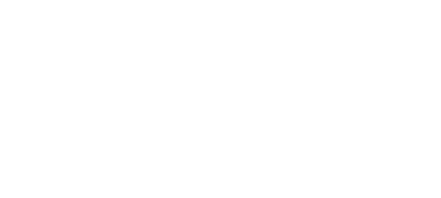 Onyx Logo